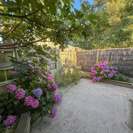 Contemporary House Near Landes Beaches * מולייטס-אה-מא
