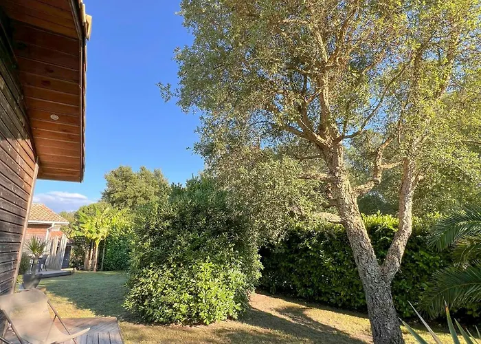 Contemporary House Near Landes Beaches * Moliets-et-Maa